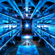 Illustration for article titled Breakthrough: The world's first net-positive nuclear fusion reaction